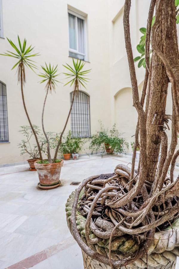 Chic&Luminoso-Wifiac/Elegant Apt In Salvador 2 Br Sevilla Kültér fotó